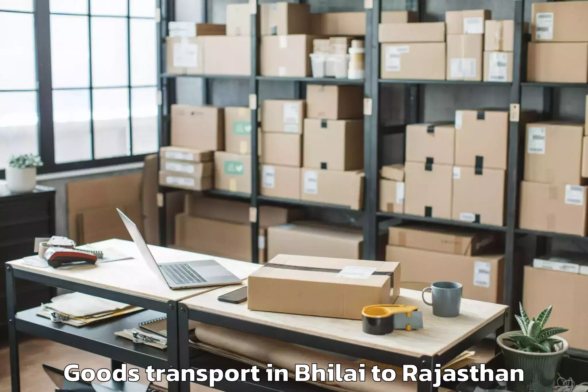 Top Bhilai to Dr Kn Modi University Newai Goods Transport Available